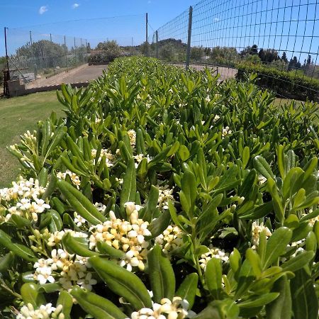 לינה וארוחת בוקר Al Sole Di פולה מראה חיצוני תמונה