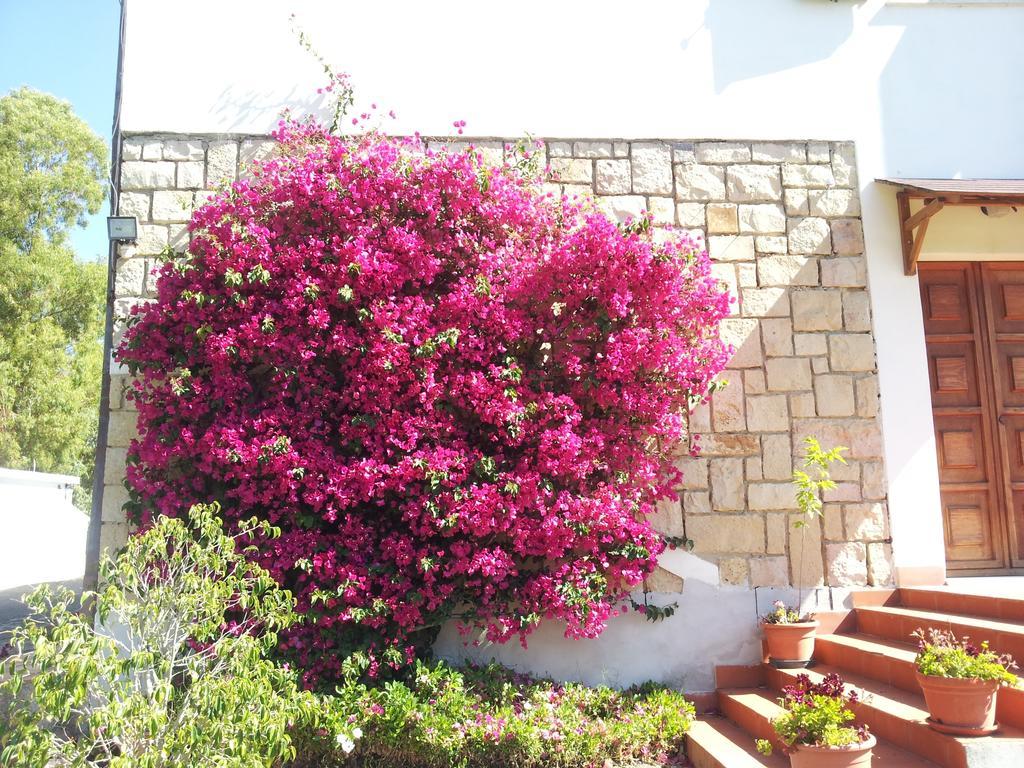 לינה וארוחת בוקר Al Sole Di פולה מראה חיצוני תמונה