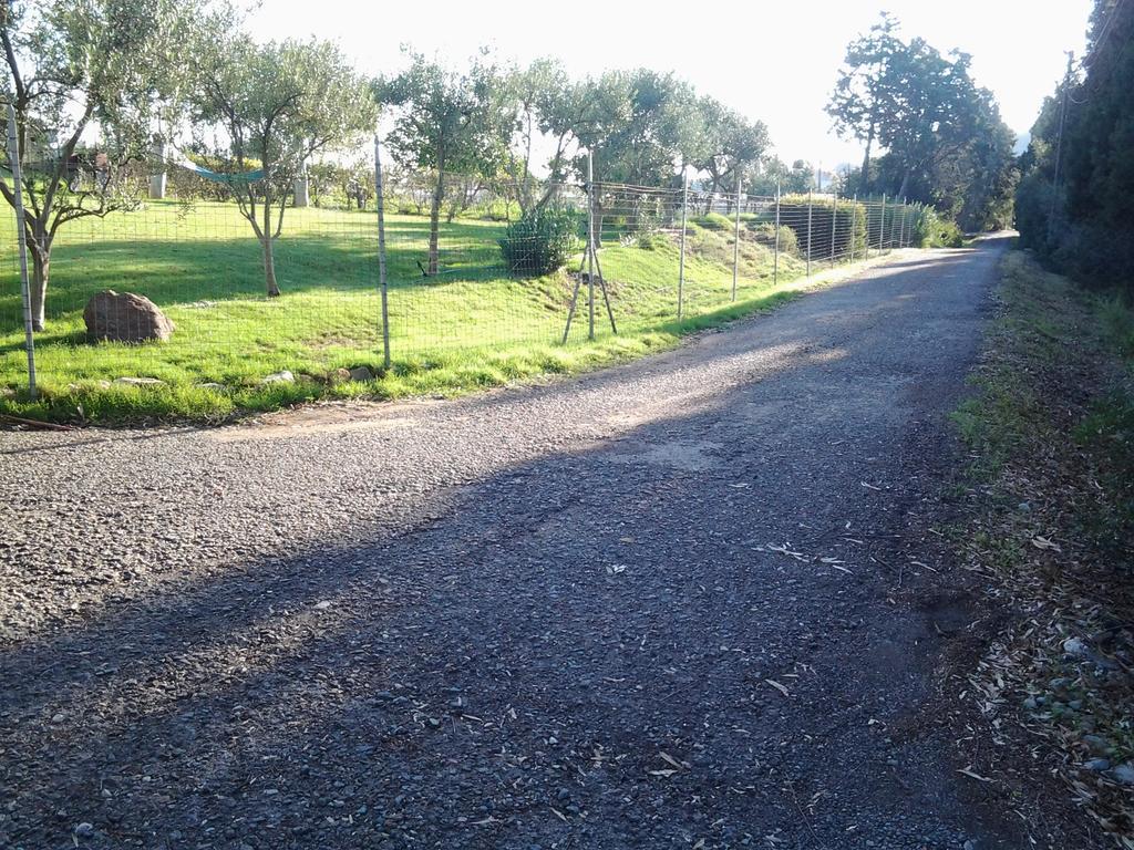 לינה וארוחת בוקר Al Sole Di פולה מראה חיצוני תמונה